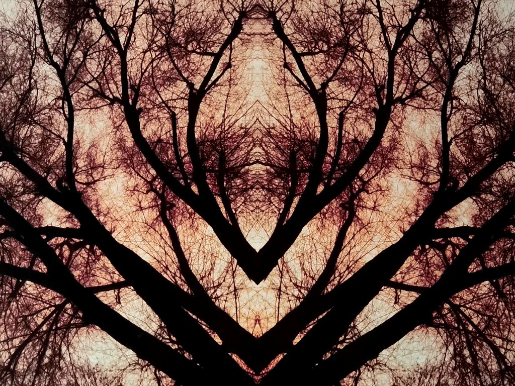 Holiday candle pre-orders are&nbsp;live!