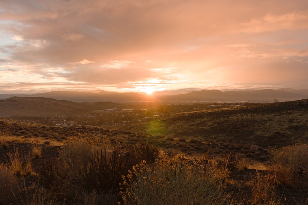 New Year, Same Earth